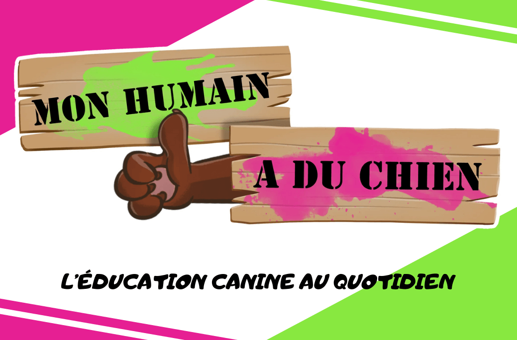 Mon Humain a du Chien Mon Humain a du Chien