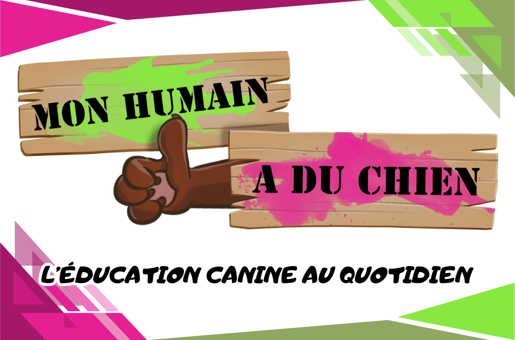 Mon Humain a du Chien